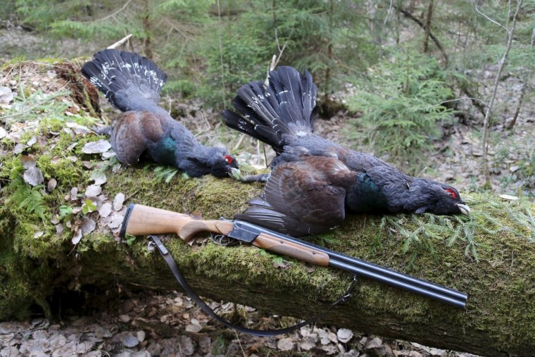 Современный охотник