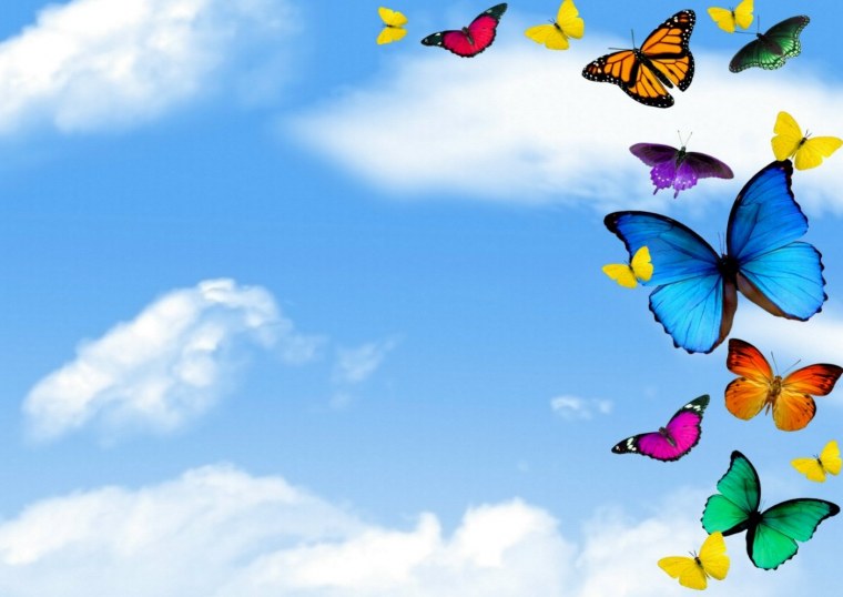 Бабочки Эстетика