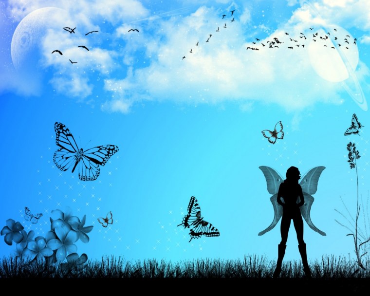 Бабочки в поле