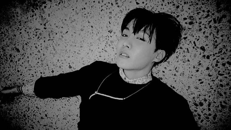 Чон Хосок черно белый