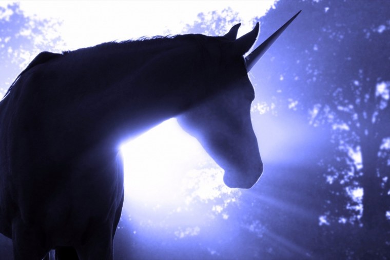 Единорог коллаж