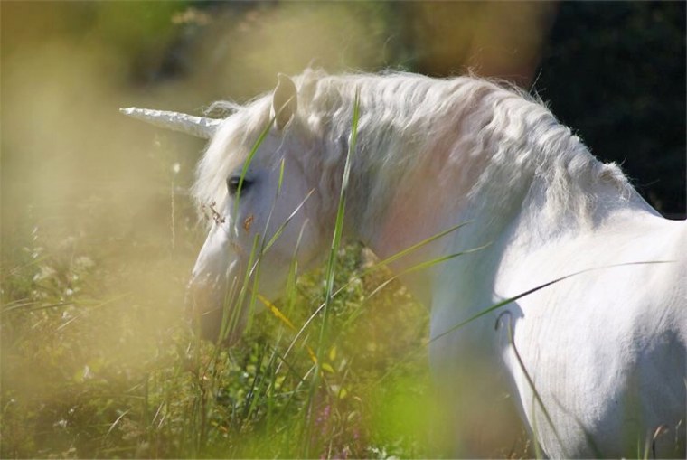 Эстетика единорогов