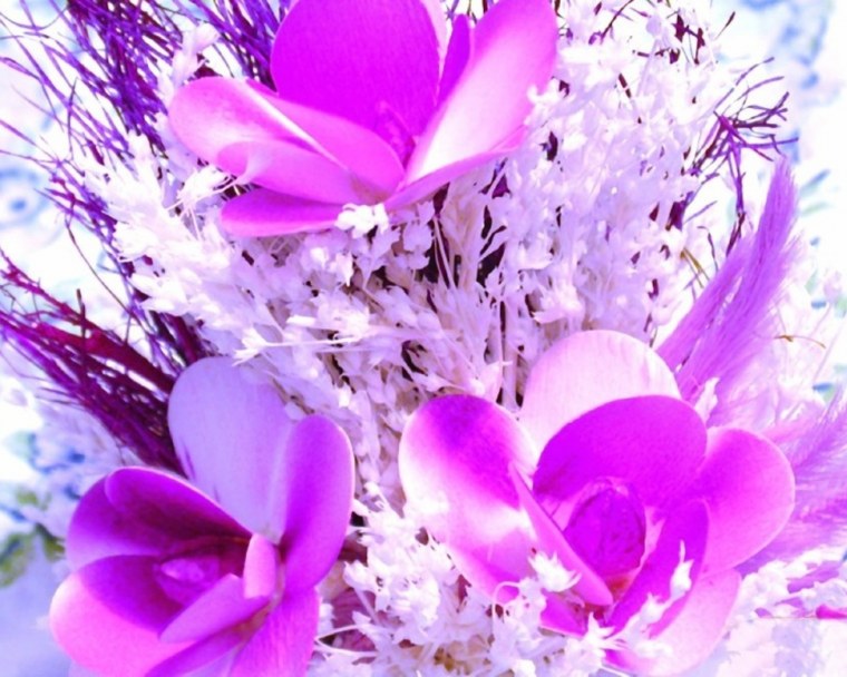 Зимние цветы