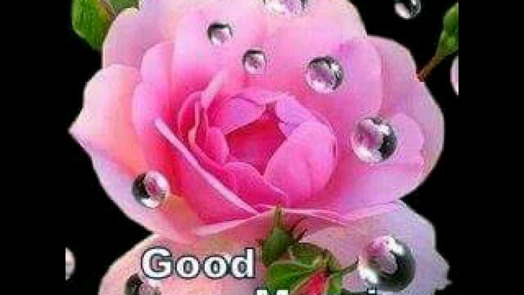 Зодруз муборак духтарчонам Зулайхо