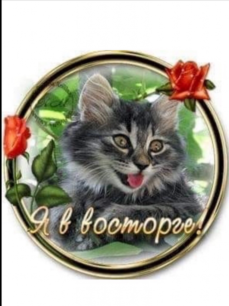 Открытки я в восторге