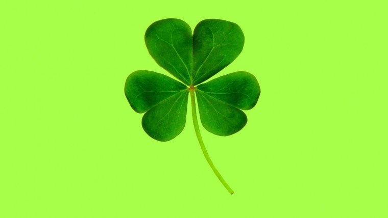 Лист клевера