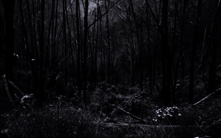 Темный лес