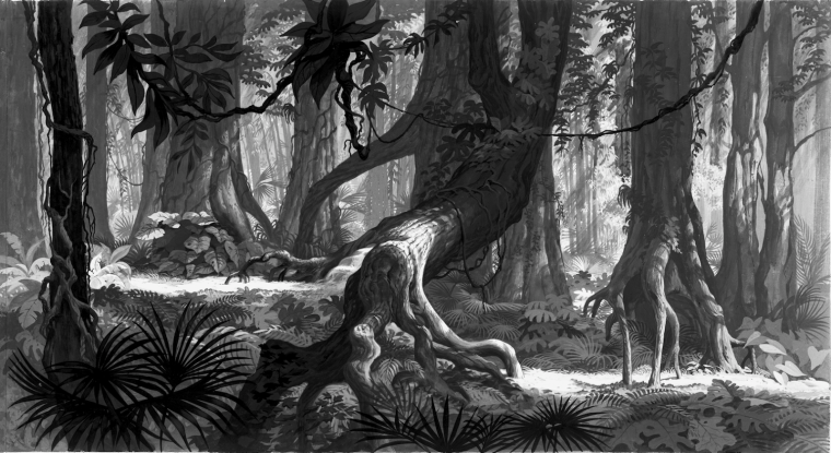 Джунгли в графике