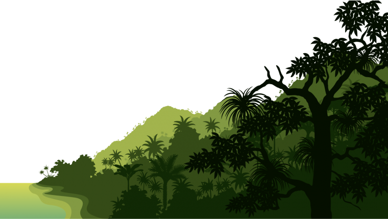 Векторные джунгли