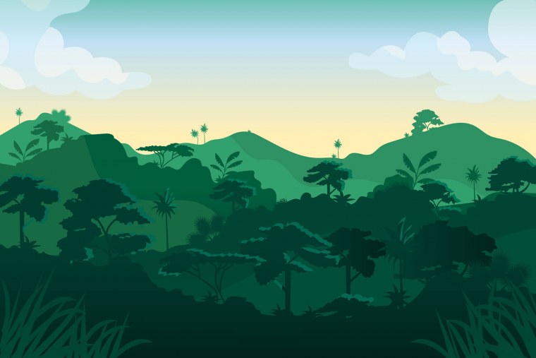 Тропический пейзаж вектор