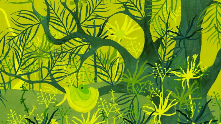 Фон Графика джунгли