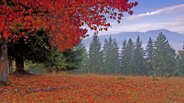 Природа осень