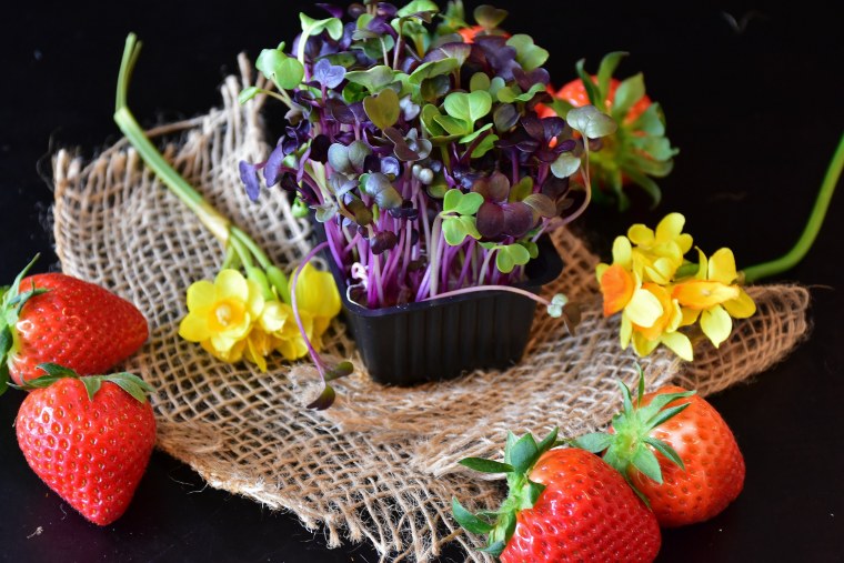 Цветы фрукты ягоды