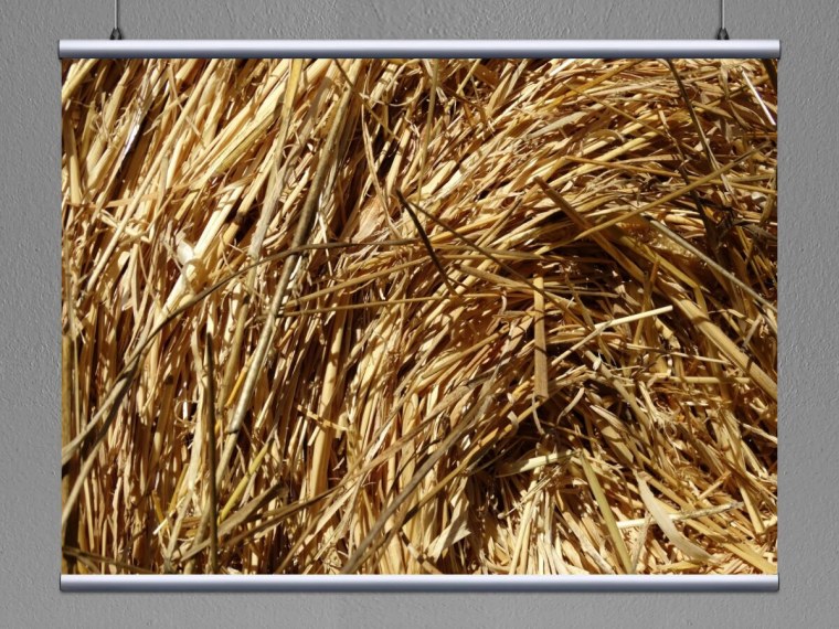 Гречишная солома