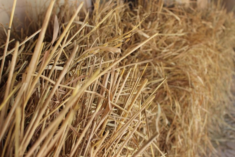 Яровая солома