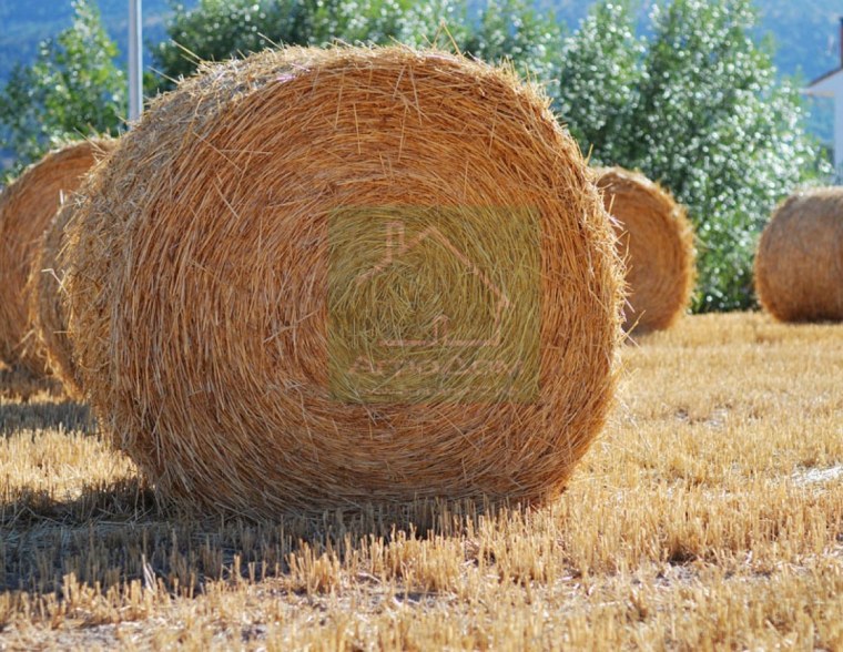 Пшеничная солома