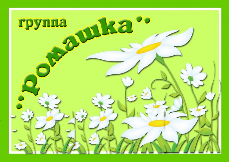 Группа Ромашка в детском