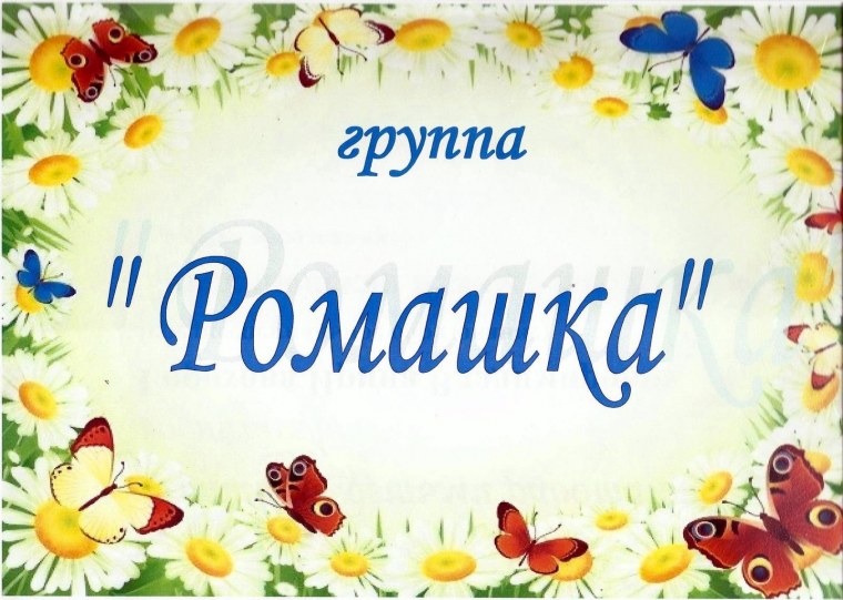 Паспорт группы Ромашка в детском саду