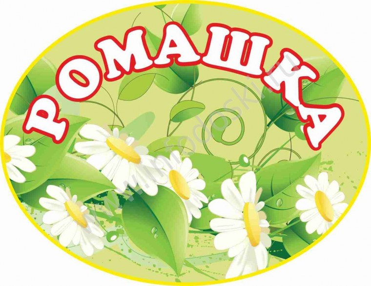 Группа Ромашка в детском саду