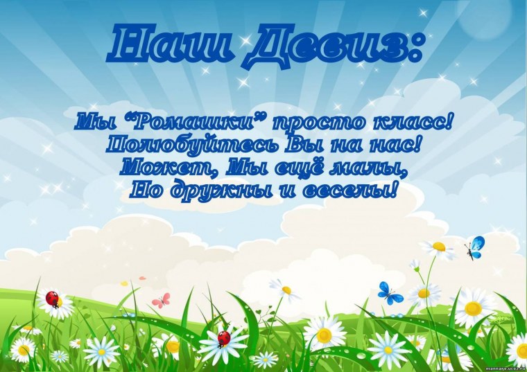 Маркировка группы ромашки с цифрами