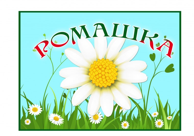 Группа Ромашка в детском саду