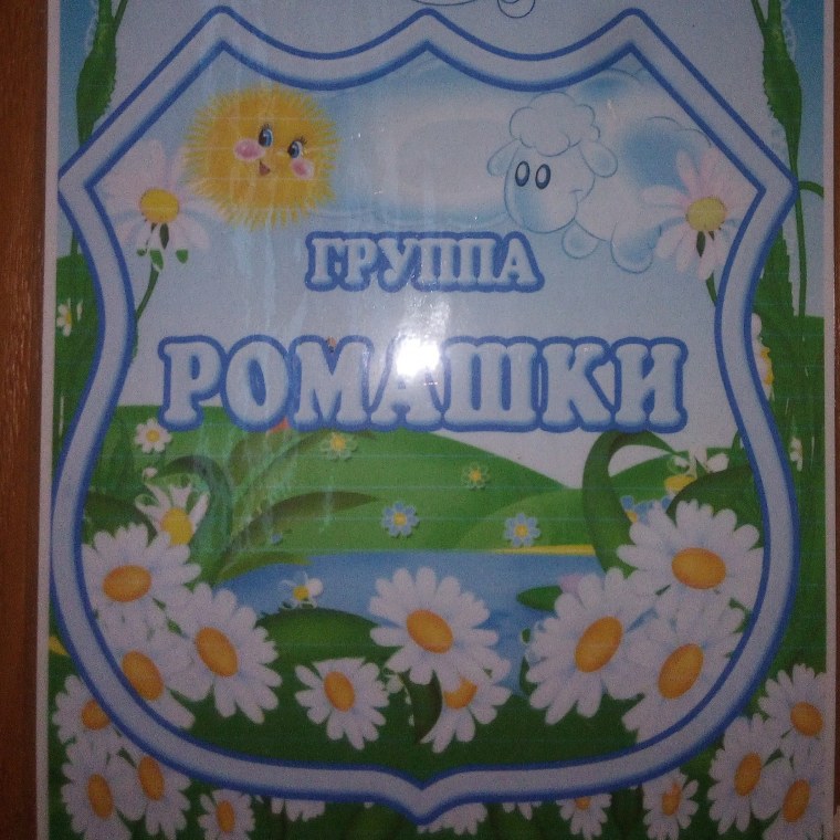 Садик Ромашка