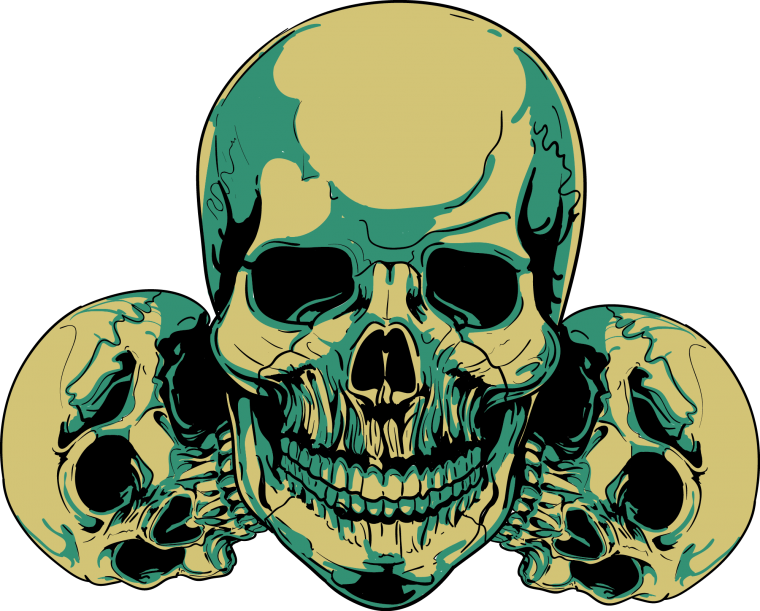 Картинки черепа