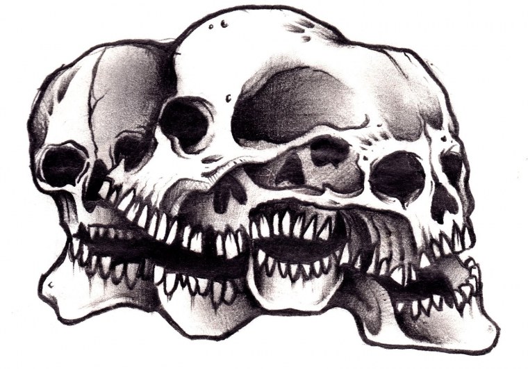 Череп на белом фоне