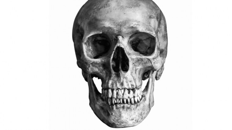 Череп трафарет