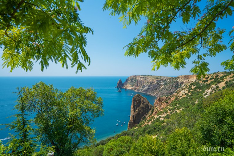 Артек медведь гора