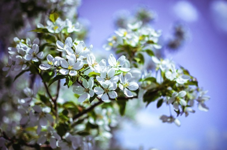 Весна забор