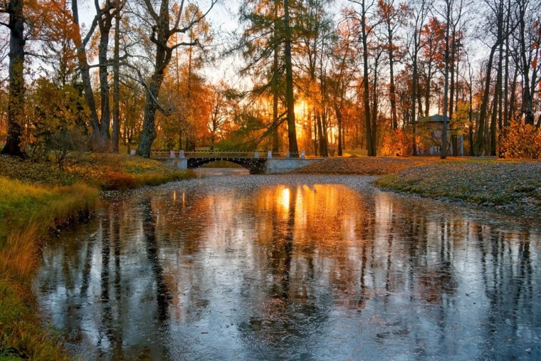 Утренняя осень