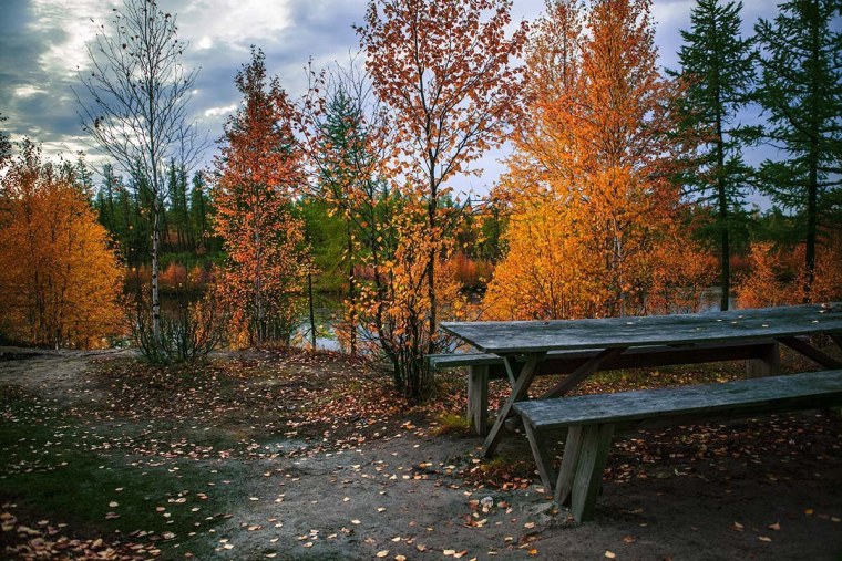 Поздняя осень пейзаж
