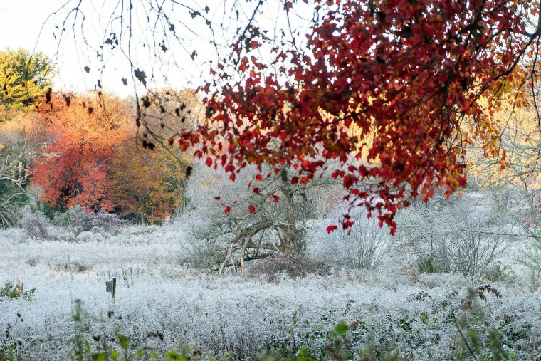 Глубокая осень