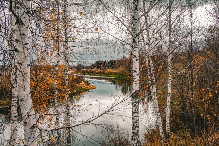 Асеев поздняя осень