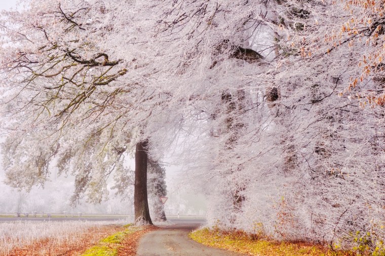 Ранняя зима