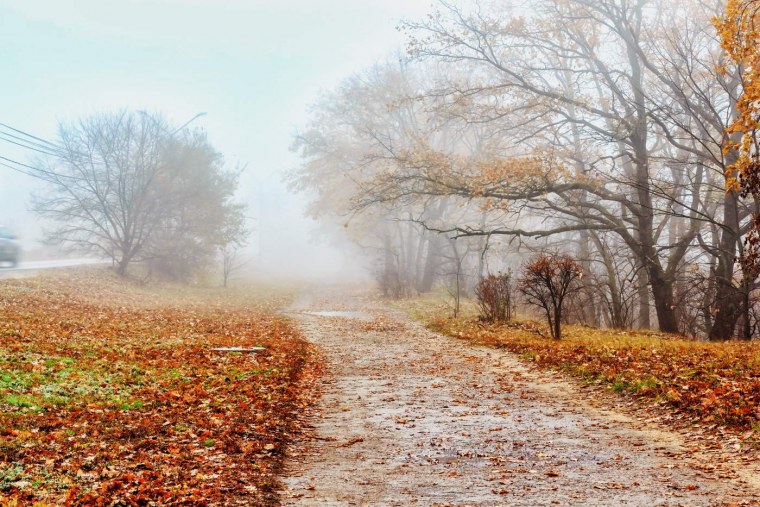 Поздняя осень