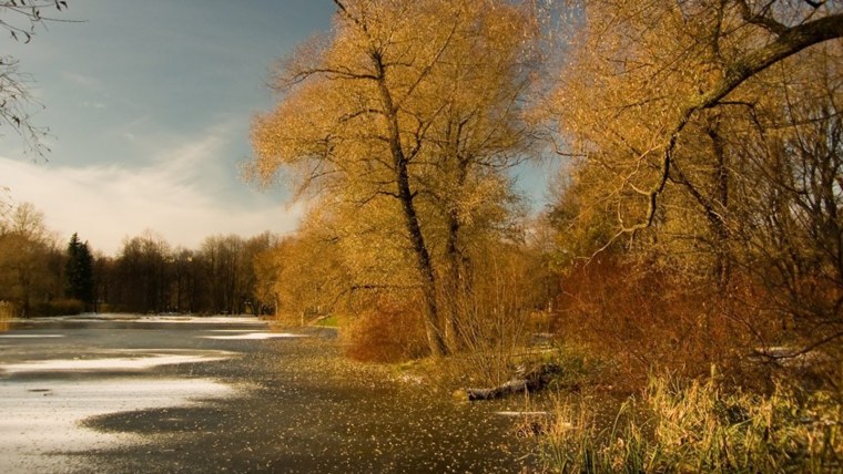 Конец осени