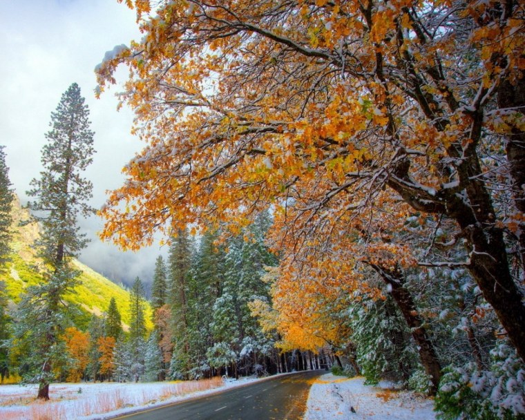 Ранняя зима