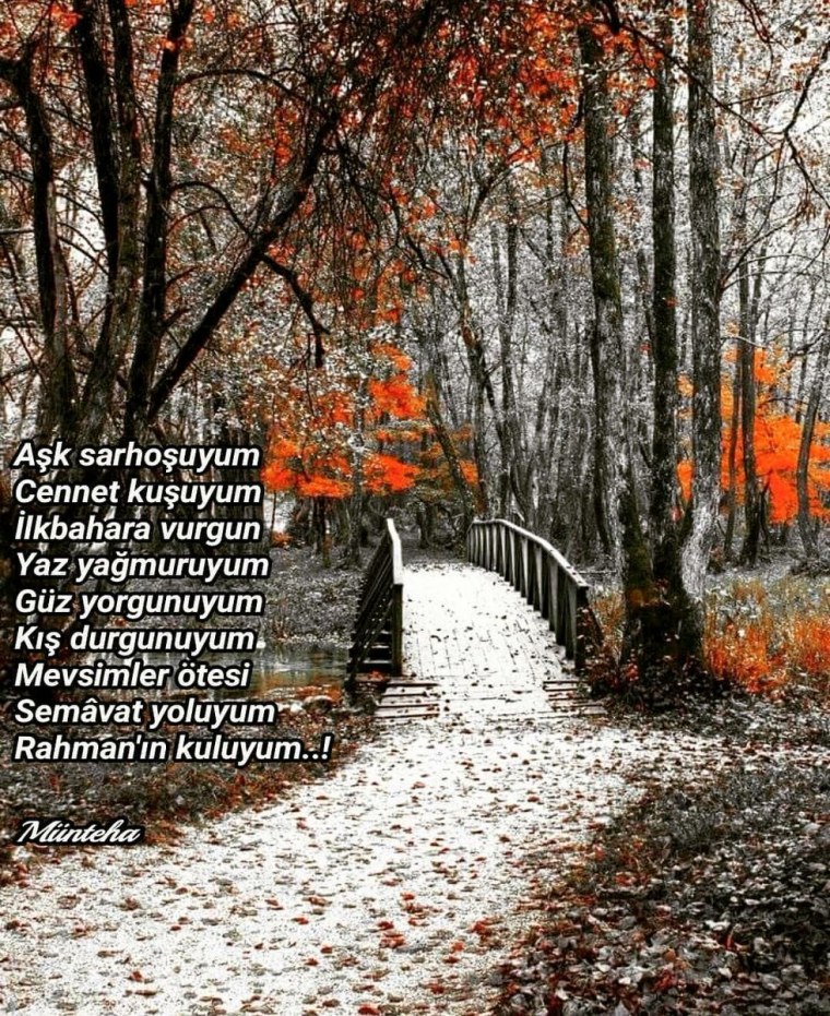 Осень ноябрь