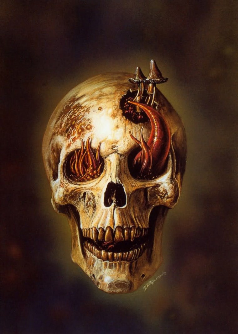 Скелет черно белый