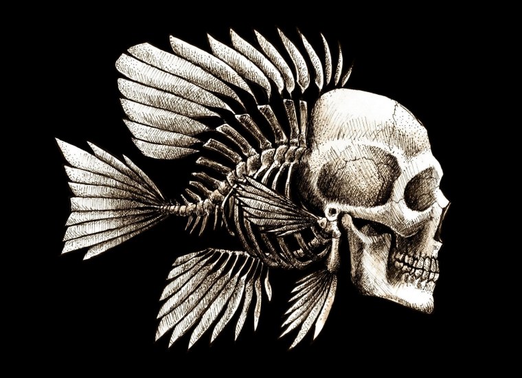 Скелет с очками