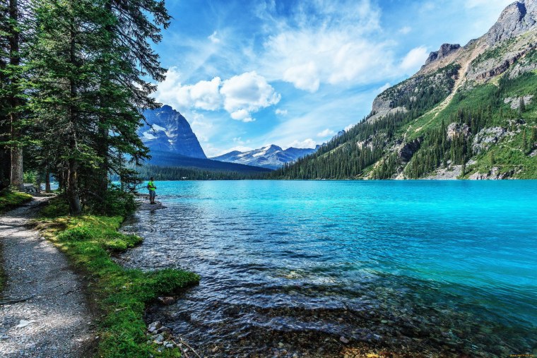 Лесное озеро в Канаде