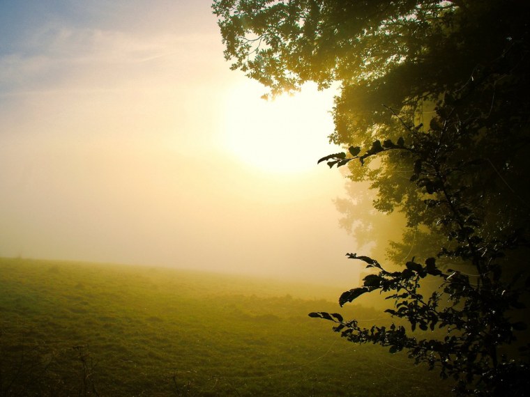 Восход солнца над полем