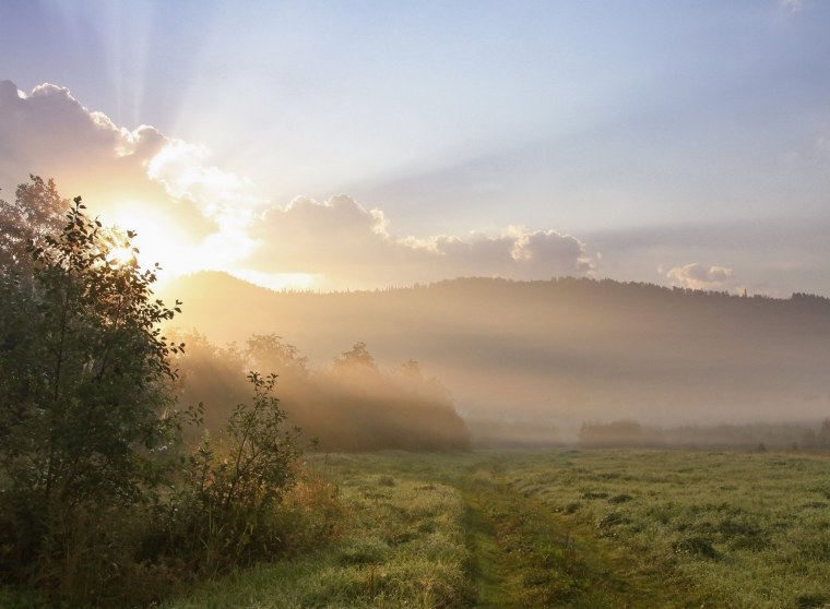 Трава и солнце