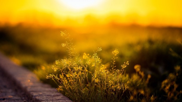 Раннее утро