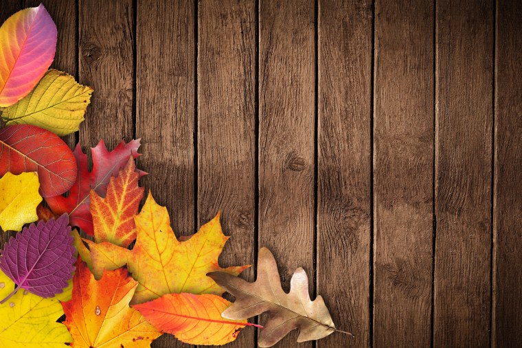 Осенний фон