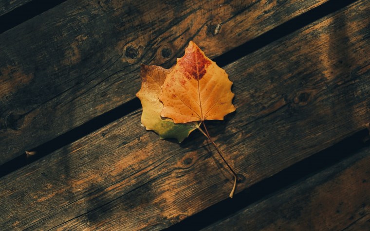 Осень на рабочий стол