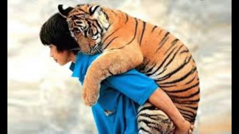 Девушка обнимает тигра