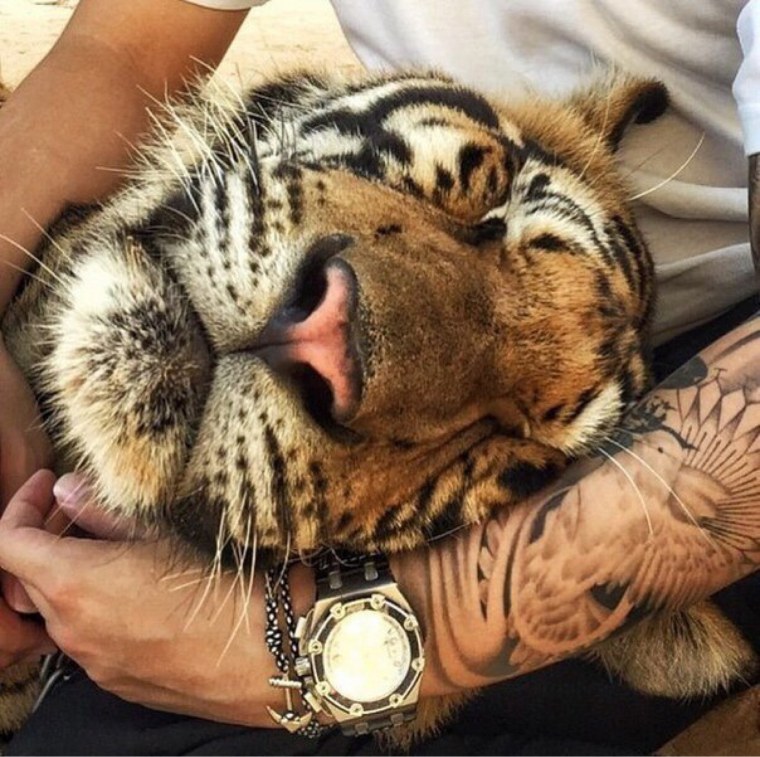 Мужик обнимает тигра